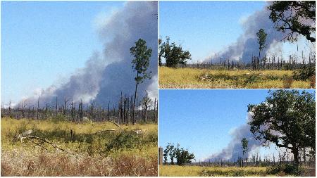 Emergency crews battling 3 fires in Bastrop County story image