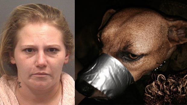 Kimberly Howell arrested after Facebook post of dog with mouth duct-taped shut