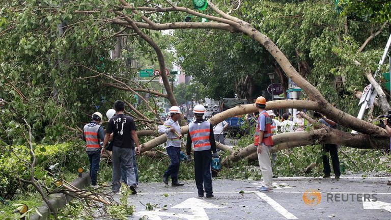 Workers remove trees uprooted by strong winds from Typhoon Dujuan in Taipei Taiwan