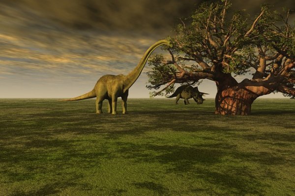 'A representation of what some large herbovore dinosaurs may have looked like