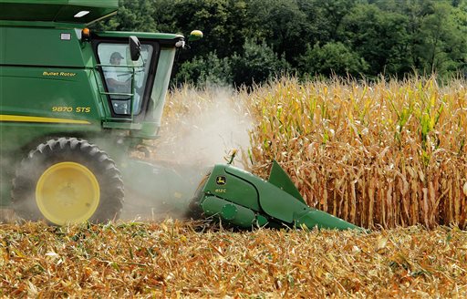 Weaker demand pushes US corn price to 2.5-week low