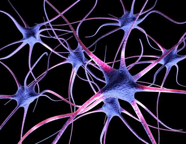 Alzheimers-disease-destroys-brain-cell-connections-early-on