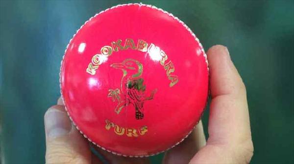 Australia New Zealand set for 1st ever day night pink ball Test