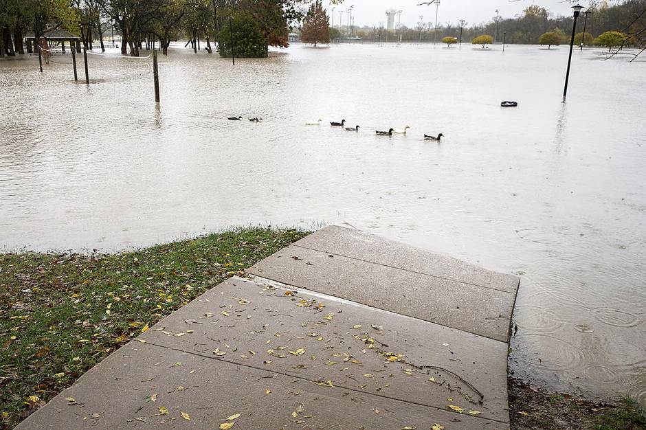 Birds float over a volleyball court as floodwater covers Towne Lake Park on Friday Nov. 27 2015 in McKinney