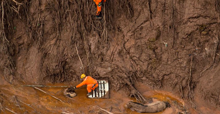 Brazilian firemen rescue a foal which remains next to its mother after a dam burst in the village of Bento Rodrigues in Brazil