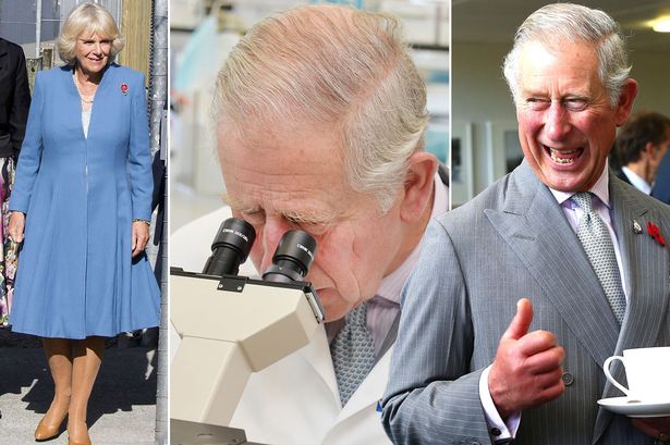 Charles Camilla begin NZ visit