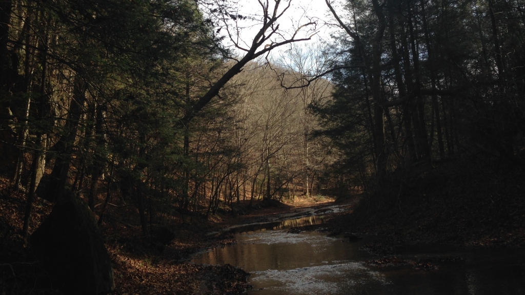 Modern gun deer season has begun and conservation officials say