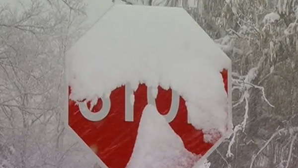 Chicago Records Snowiest November Storm in Over 100 Years