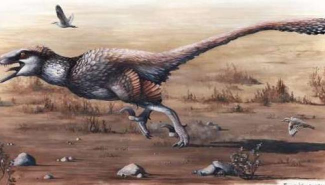 Largest Raptor with Wing Feathers Found in South Dakota