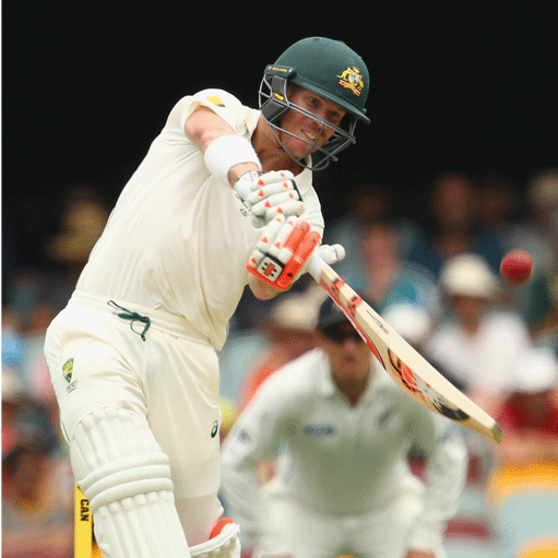 David Warner batting against New Zealand in Brisbane