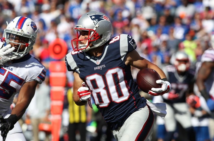 Patriots Danny Amendola Should Help Replace Dion Lewis