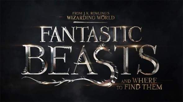 Fantastic Beasts Won't Be Like Any Other Harry Potter Movie