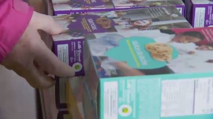 Some Girl Scout Troops Raising Cookie Prices story image