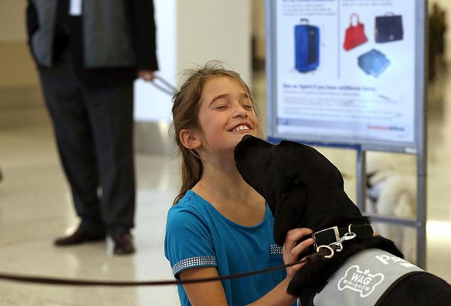 Therapy Dogs Soothe Harried Passengers At San Francisco Int'l Airport