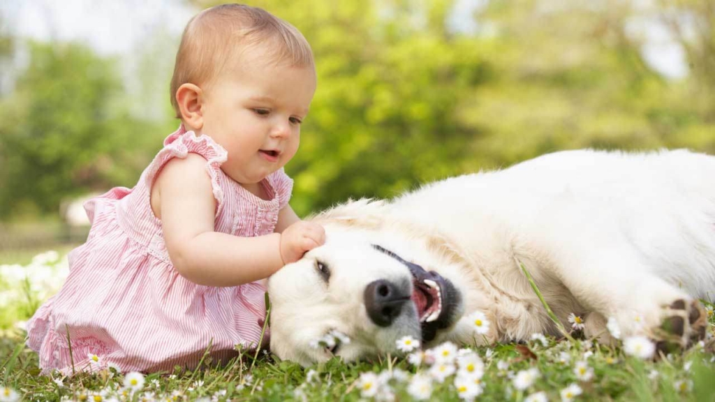 Dogs-Reduces-a-Child-Chances-of-Having-Asthma