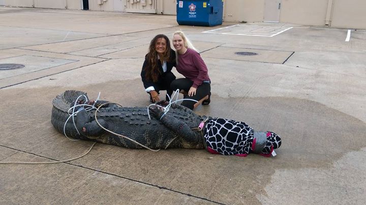 Sugar Land residents run into toothy surprise at area strip mall