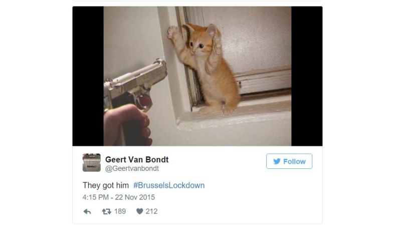 Belgian Twitter Users Are Supporting Police By Tweeting Cats