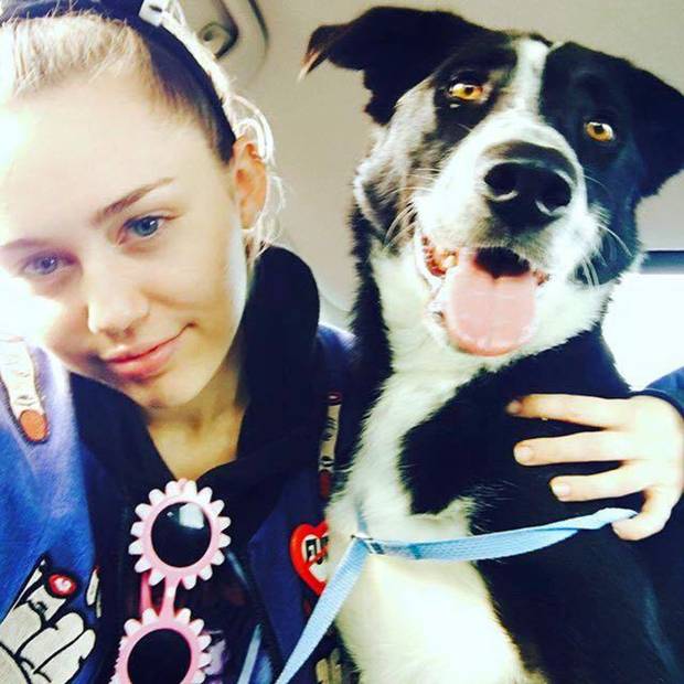 Miley Cyrus adopted a dog named Yogi at an Oklahoma City pet adoption event over the weekend