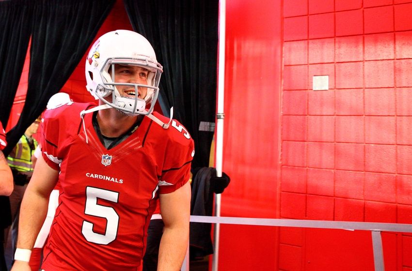 Drew Stanton celebrates on the sidelines like a little kid