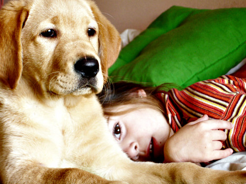 New Study Shows Kids With Pet Dogs Are Less Anxious