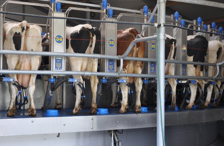 New Zealand central bank warns of dairy farmer debt