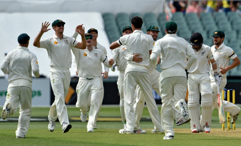 AFP Saeed KhanAustralia's paceman Mitchell Starc celebrates the wicket of New Zealand's Kane Williamson with teammates during their first day-night cricket Test match at the Adelaide Oval