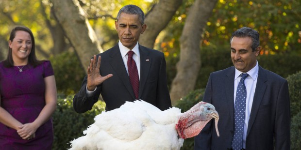 Obama set to pardon 'Honest' and 'Abe' before Thanksgiving