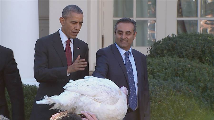 Obama Pardons National Thanksgiving Turkey		Play Video