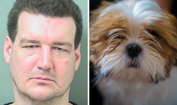 David Etzel and a stock image of a shih tzu