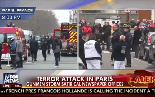 Paris attacks likely directed and equipped from Syria USA lawmaker