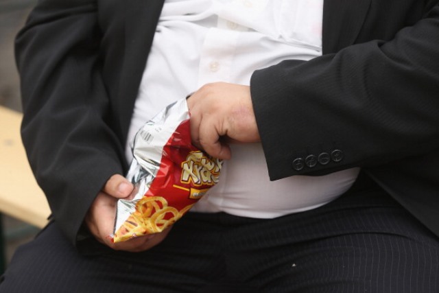 Junk Food Not Culprit of Obesity Epidemic in United States