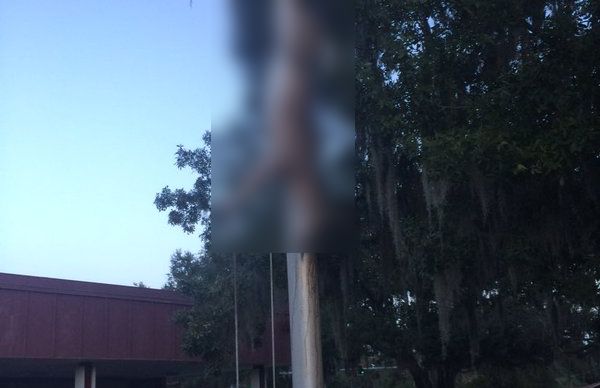 Students at a high school near Tampa arrived on campus to discover a dead deer strung up by its hind leg on a flagpole