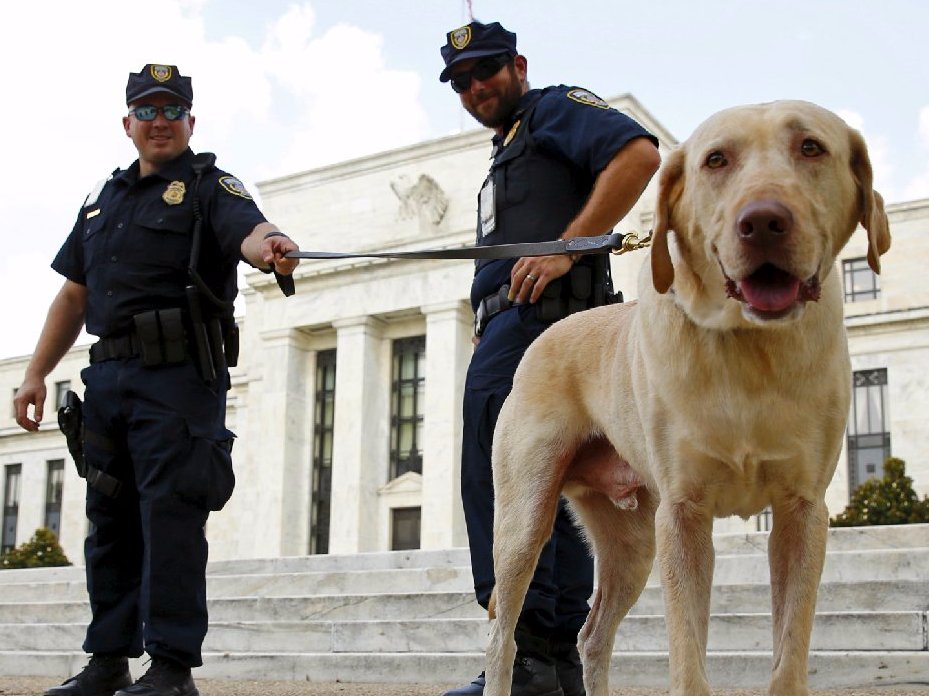 REUTERS  Kevin Lamarque Police officers stand with their dog outside the Federal Reserve patrol in front of the building with their dog Brodie