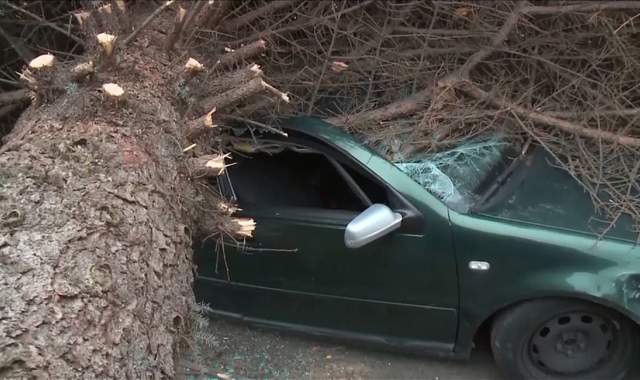 Powerful Storm Kills Three In Washington