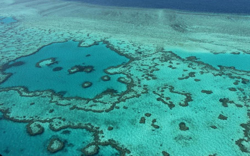 The Great Barrier Reef off the coast of the Whitsunday Islands along the central coast of Queensland