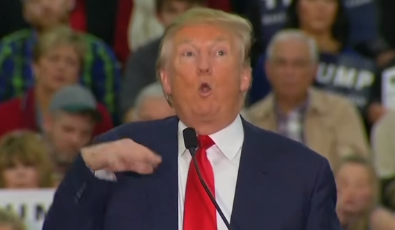 Donald Trump 'mocked reporter's disability&#039