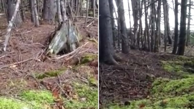 The video shot in a Canadian forest showed the Earth'breathing