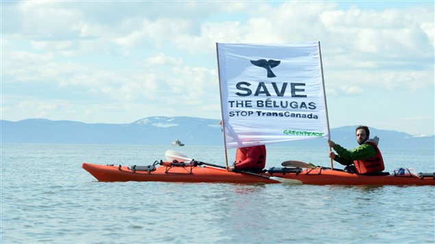 Greenpeace activists in Cacouna Quebec protest plans by Trans Canada to build a new tanker port on the St. Lawrence Seaway to export tar sands oil from the proposed Energy East pipeline