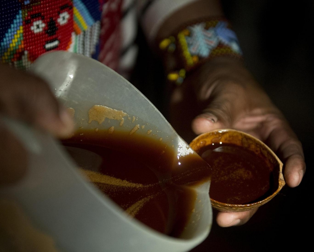 A drink made from the Ayahuasca plant found in the Amazon Getty Images