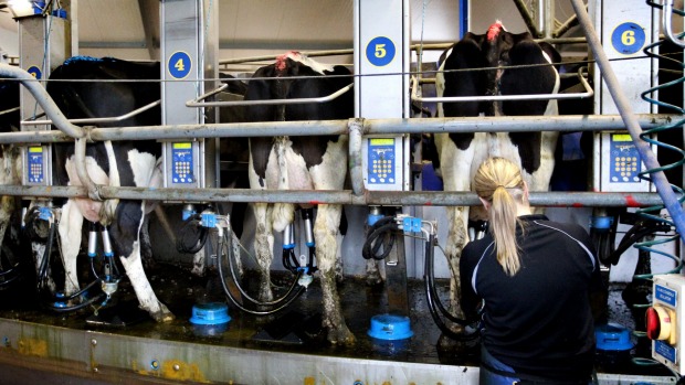 Removal of subsidies means a potentially higher milk price for farmers