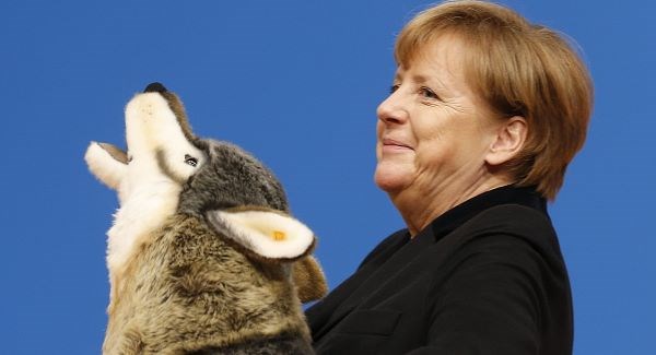 Angela Merkel holds a toy wolf she got as a present during a party convention of the Christian Democrats today. Pic AP