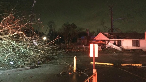 Trees were uprooted and structures destroyed at a neighbourhood in southwest Birmingham Alabama