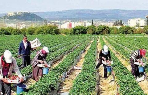 Agriculture Not A Part of Paris Climate Agreement