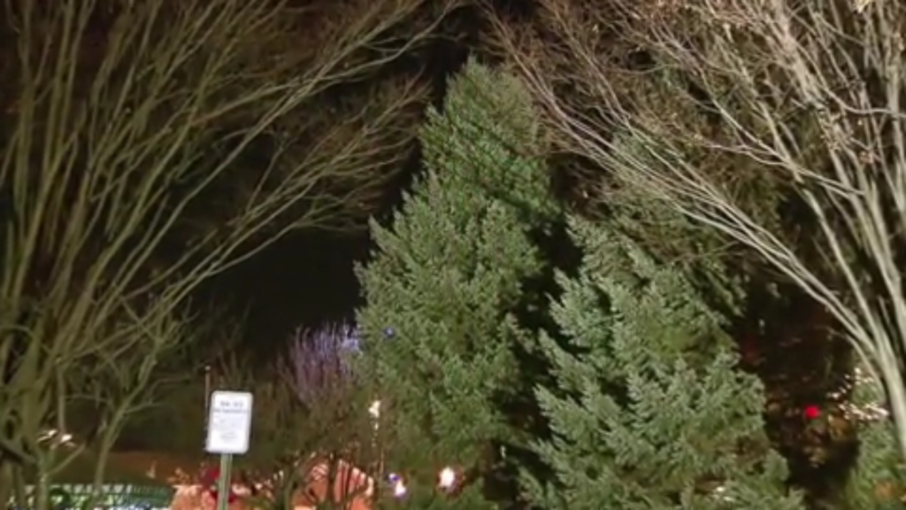 A New Jersey city council member has rescinded her resignation after she said she was stepping down following a city council decision to add the word'Christmas to the name of its tree-lighting ceremony