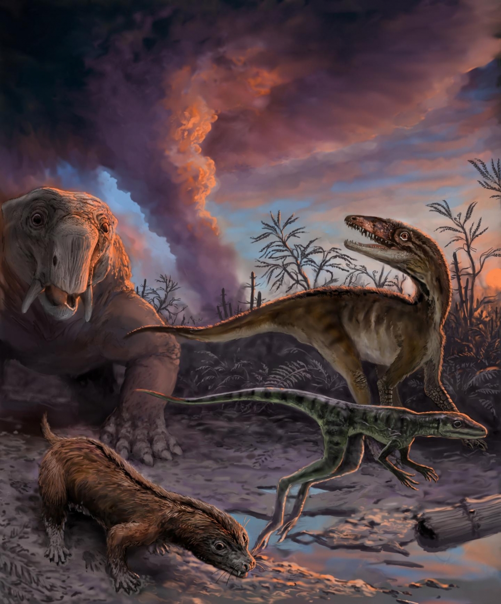 Animals escaping from an erupting volcano 235 million years ago in northwestern Argentina. These species found as fossils in the Chanares Formation include early mammal relatives (the dicynodont Dinodontosaurus in the left background and the cynodont M