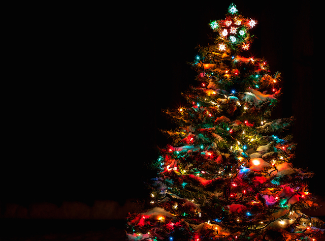 NJ Councilwoman Resigns Over 'Christmas' Tree Lighting Ceremony