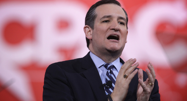 Ted Cruz won the endorsement of the National Organisation for Marriage