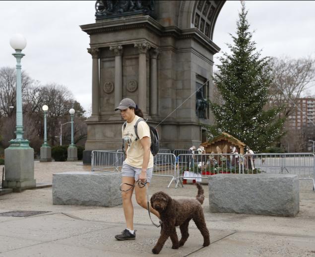 Wearing shorts and a T-shirt Louise Twining Ward walks past a Christmas tree at Brooklyn's Grand Army Plaza arch on Christmas Eve