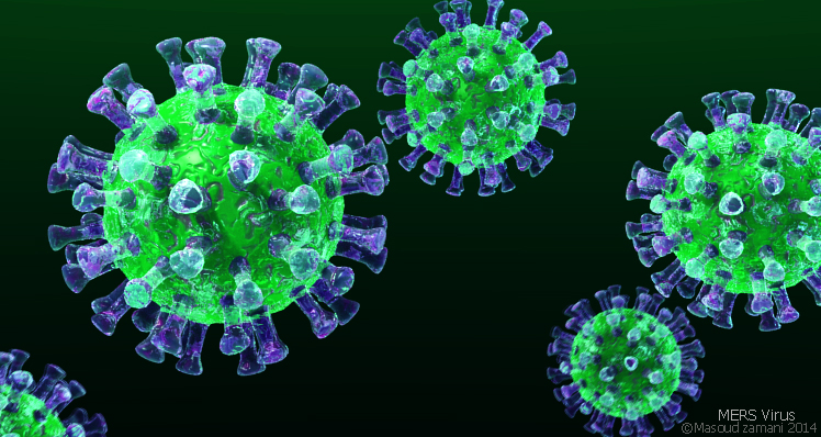 MERS virus