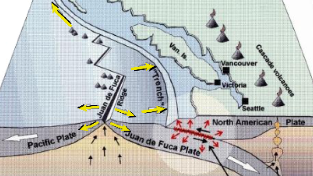 The Cascadia subduction zone is one of the most seismically active regions of the world. Tuesday night's earthquake did not happen in the 'locked&#39 section but rather in the Juan de Fuca plate as it moved underneath the South Coast